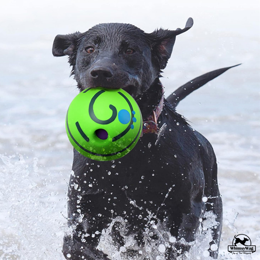 Giggle ball dog toy sales