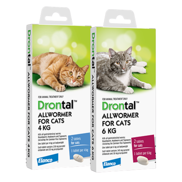 Drontal Allwormer Tablets for Cats