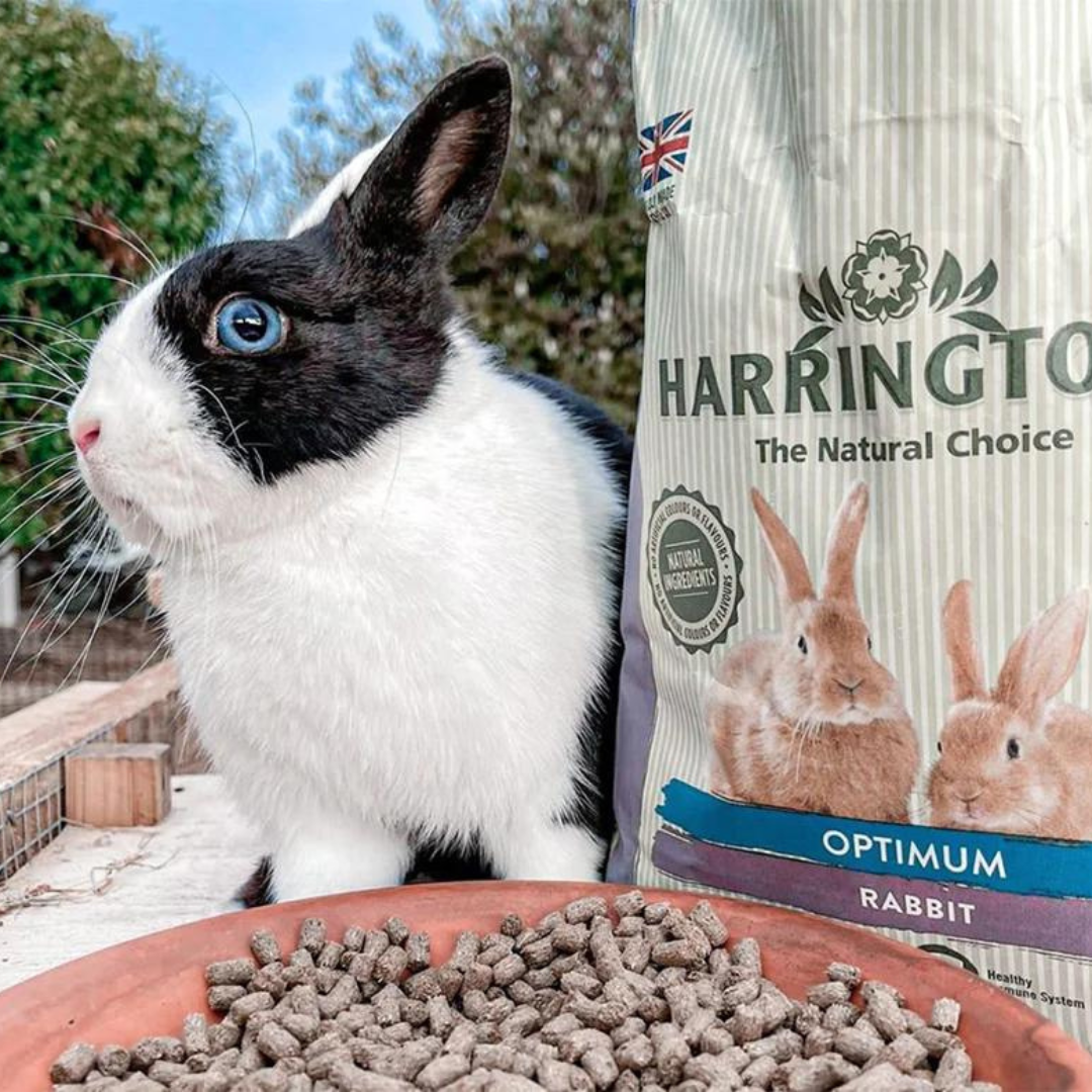 Harringtons Optimum Rabbit Food – Pet Factory New Zealand