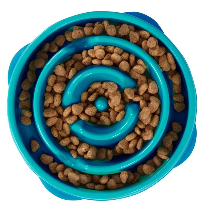 Bowls to make dogs eat slower online