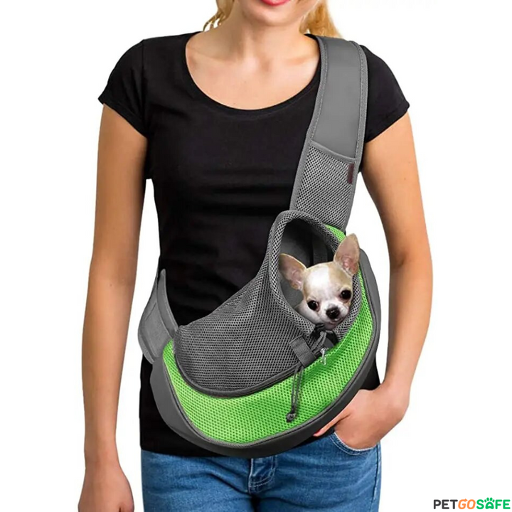 Best carrier for chihuahua deals