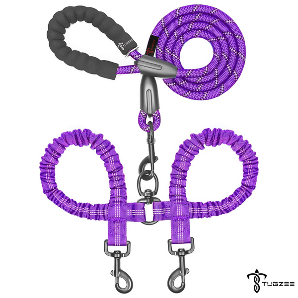 TUGZEE Dual Dog Leash with Shock Absorbing Reflective